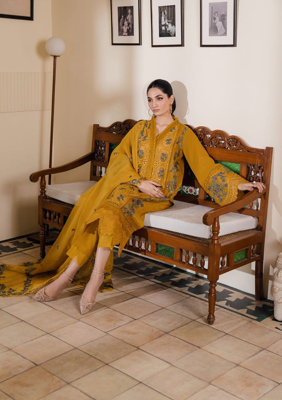 Bin Ilyas Luxury Chicken Kari Collection - Festive Wear